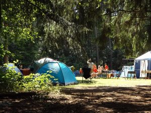campground in woods