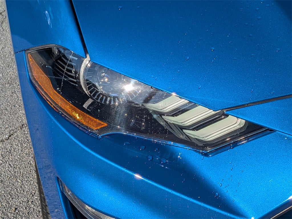 2019 Ford Mustang EcoBoost