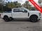 2025 Ford F-250SD Platinum