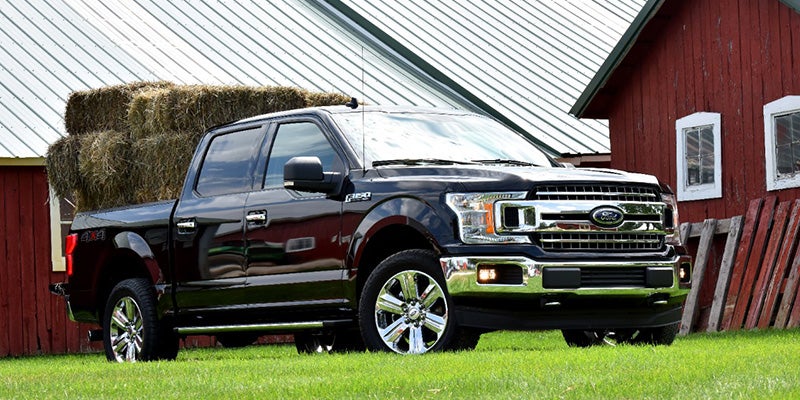 2019 Ford F-150 Owner's Manual – XLT, Lariat, Platinum, King Ranch – Paper