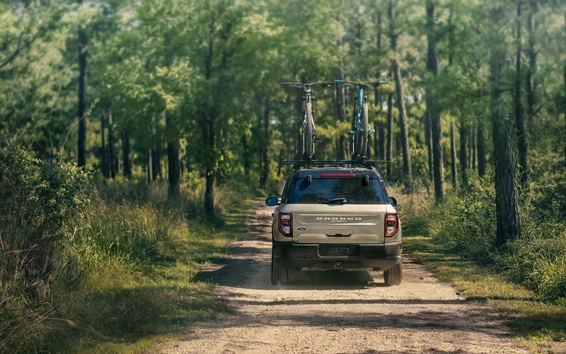 Professional Service and Support