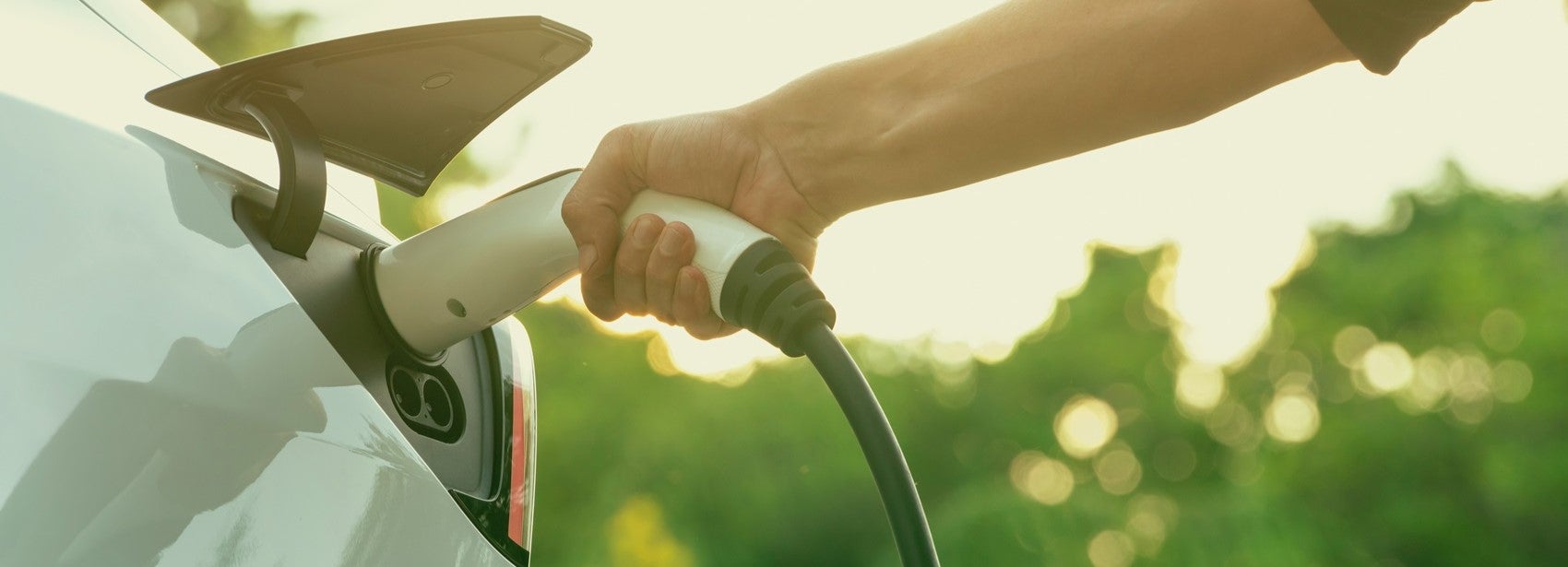 Electric Vehicle Dealer near Flagler County 